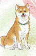 f0231709_16380499.gif