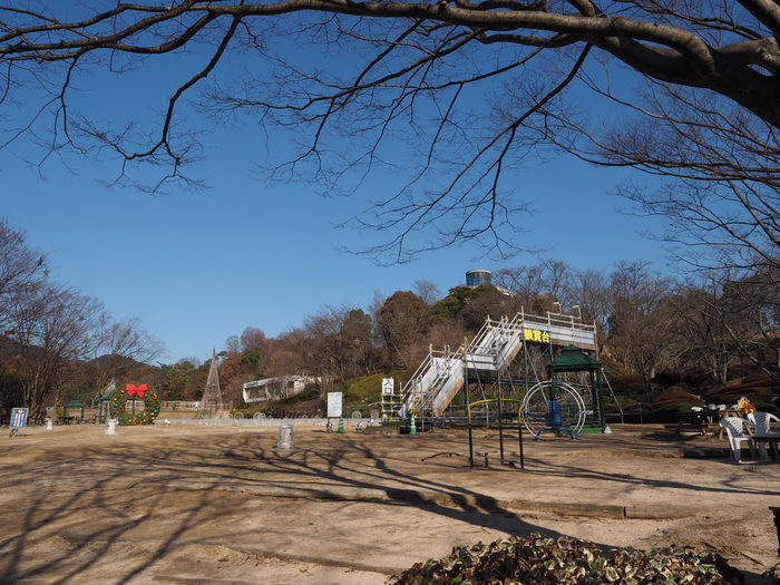 植物公園はクリスマス仕様_c0116915_22343763.jpg