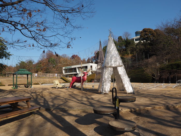 植物公園はクリスマス仕様_c0116915_22361498.jpg