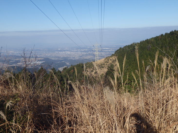 f0193521_11165466.jpg