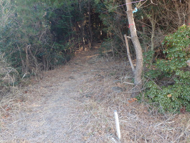 f0193521_11185142.jpg