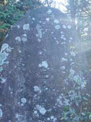 f0193521_1234058.jpg