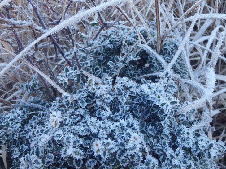 f0193521_1255089.jpg