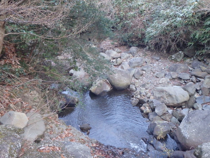 f0193521_926287.jpg