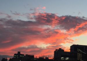 c0048023_1193091.jpg