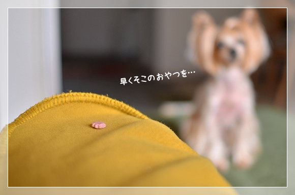 d0179828_10501802.png