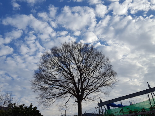 e0016828_11081909.jpg