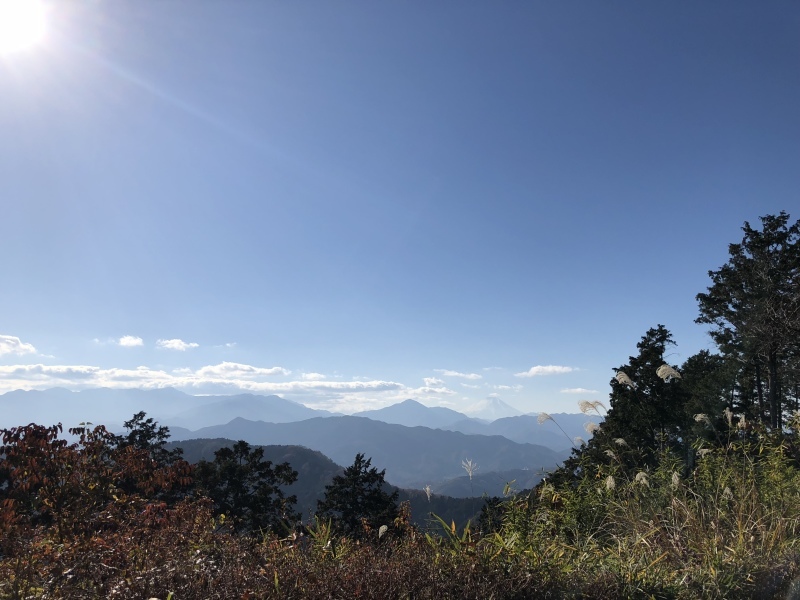 ✿澄んだ空の下 高尾山軽登山オフ_b0330432_15342843.jpeg