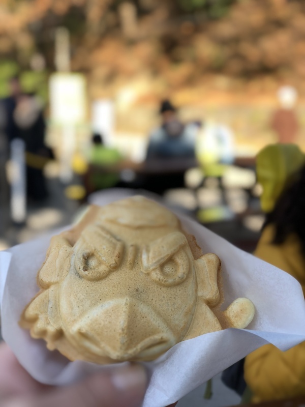 ✿澄んだ空の下 高尾山軽登山オフ_b0330432_15350364.jpeg