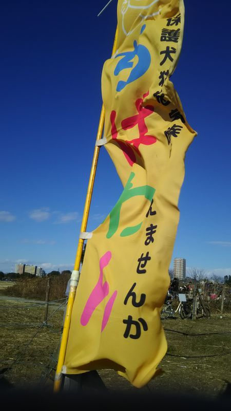 a0322733_12545438.jpg