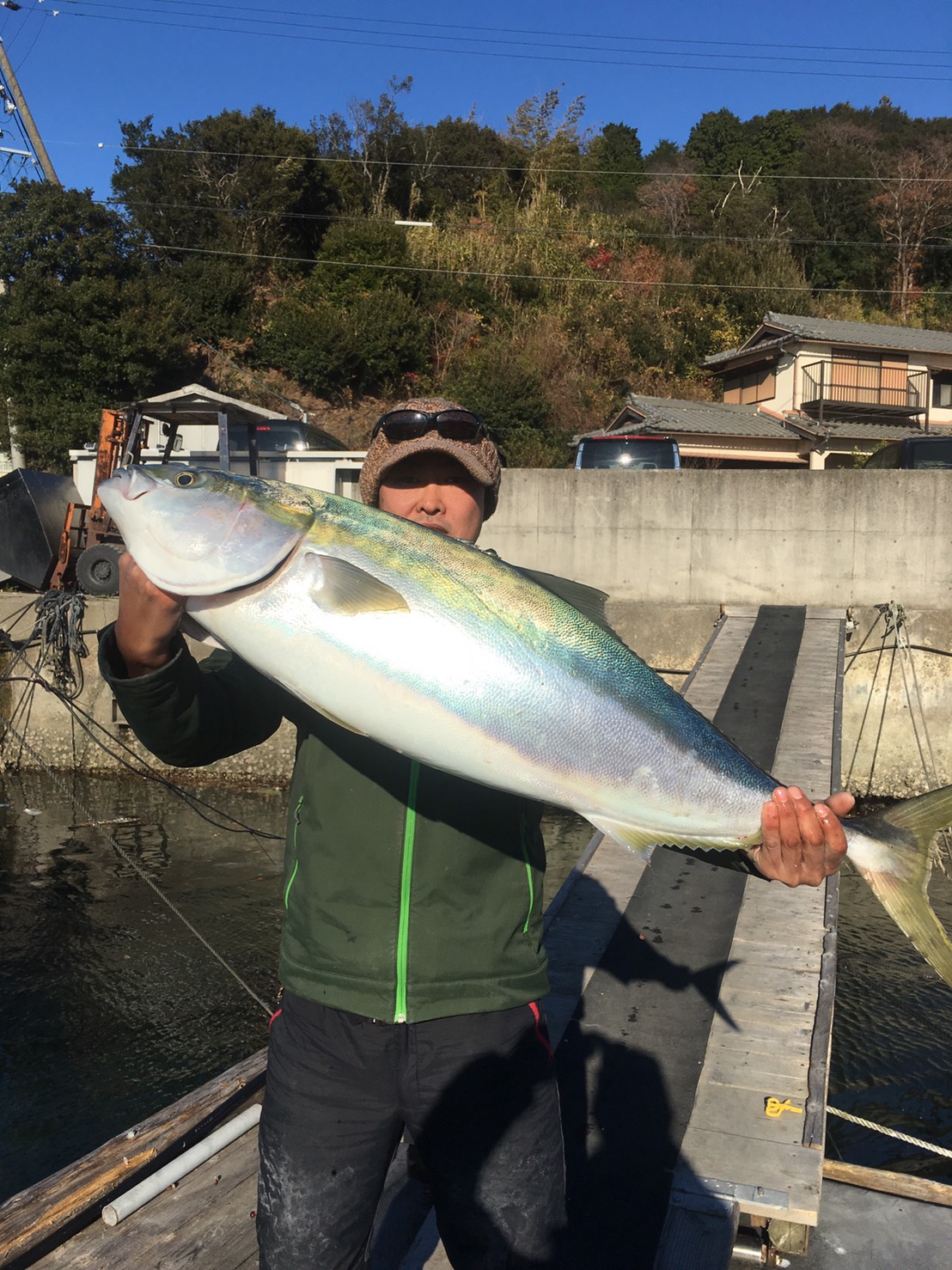 頑鉄橋本カラーで鳥羽巨ブリ❕❕_e0212944_18431788.jpg