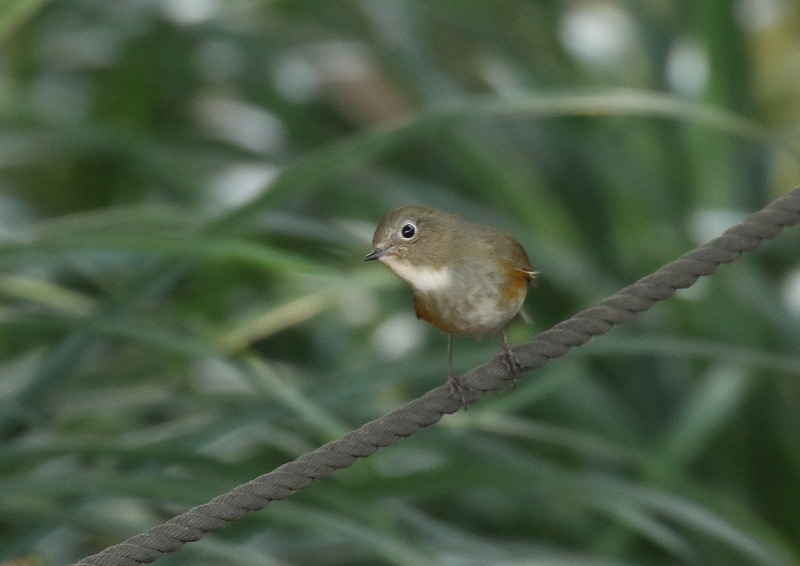 Ｋ山公園にて_c0114159_21512833.jpg