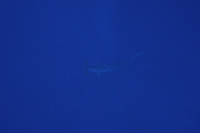 12月21日 ポカポカ_d0113459_20151568.jpg
