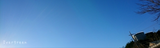 d0362666_20084005.jpg