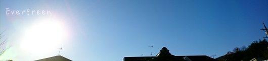 d0362666_20091199.jpg