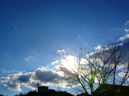 d0362666_21473621.jpg
