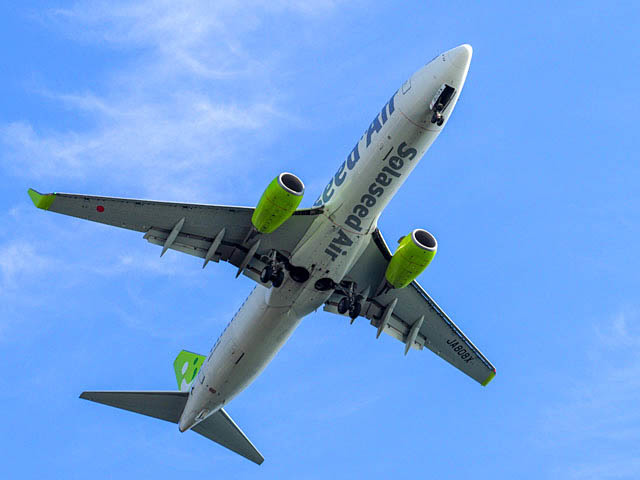 f0199866_19261476.jpg