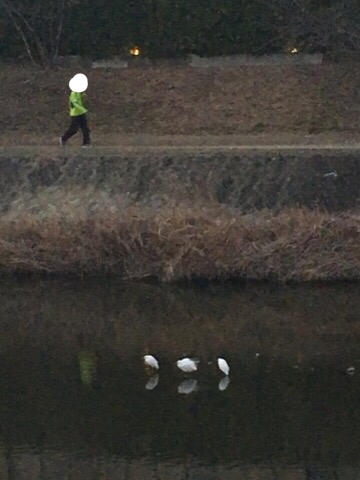 f0363168_08163214.png