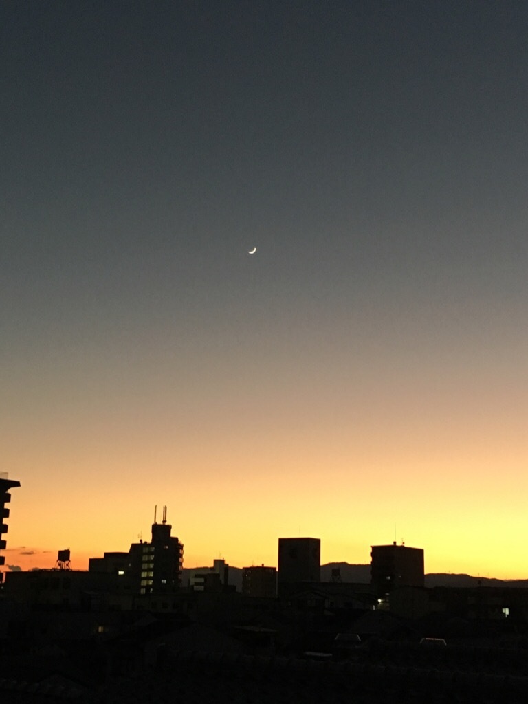 買っちまった →やっちまった_f0363168_17230887.jpg
