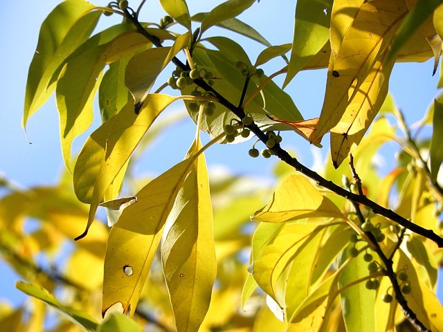 f0378979_17551482.jpg