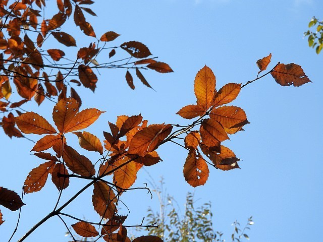 f0378979_17570974.jpg