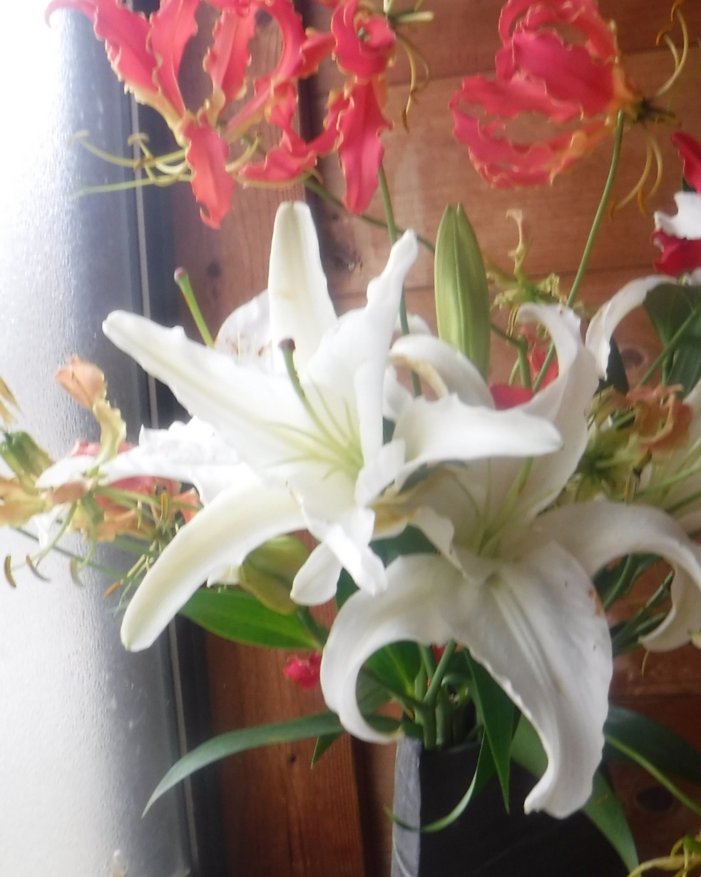 岡山展示会の花_d0195183_13171002.jpeg