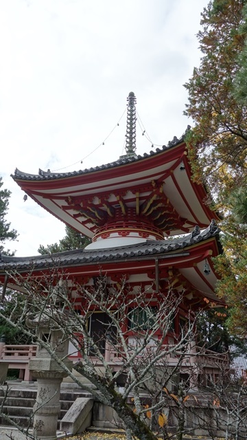  錦秋の京都へ③総本山知恩院へ_f0146587_21193087.jpg