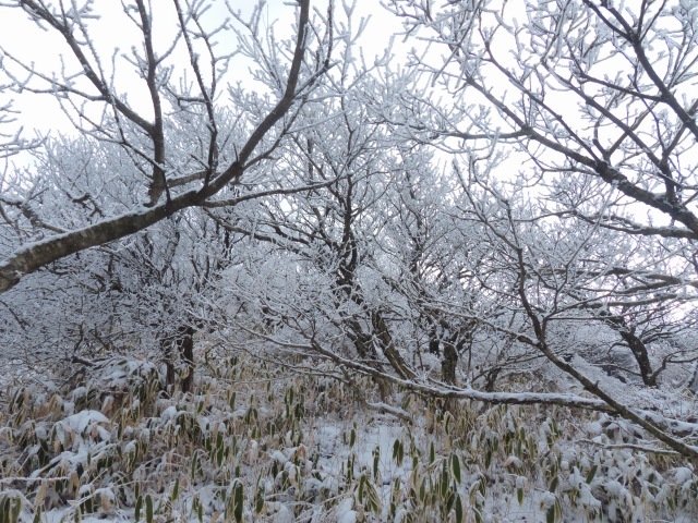 f0357487_21230111.jpg