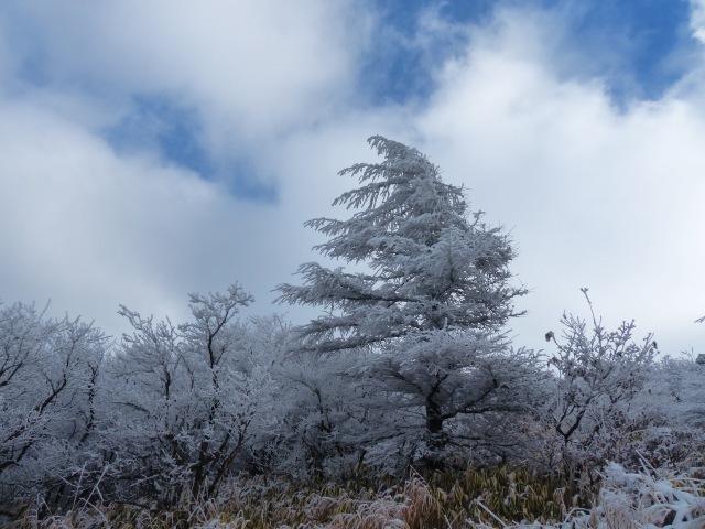 f0357487_21243574.jpg
