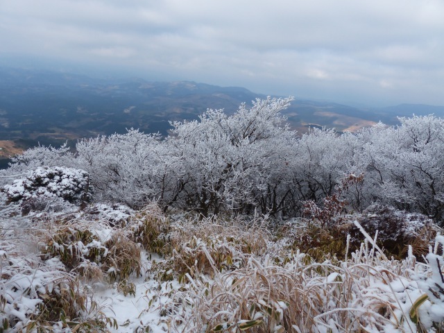 f0357487_21271418.jpg