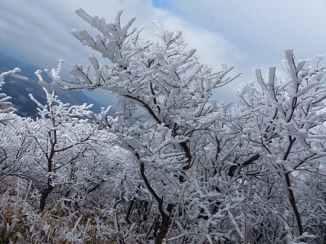f0357487_21291181.jpg