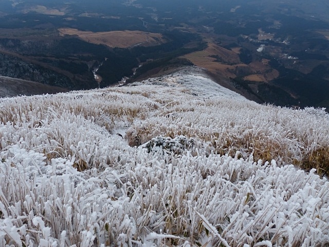 f0357487_21324194.jpg