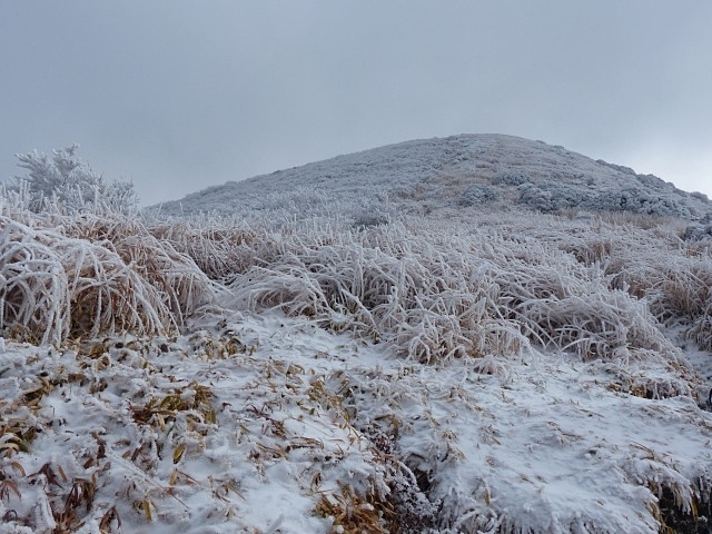f0357487_21335881.jpg