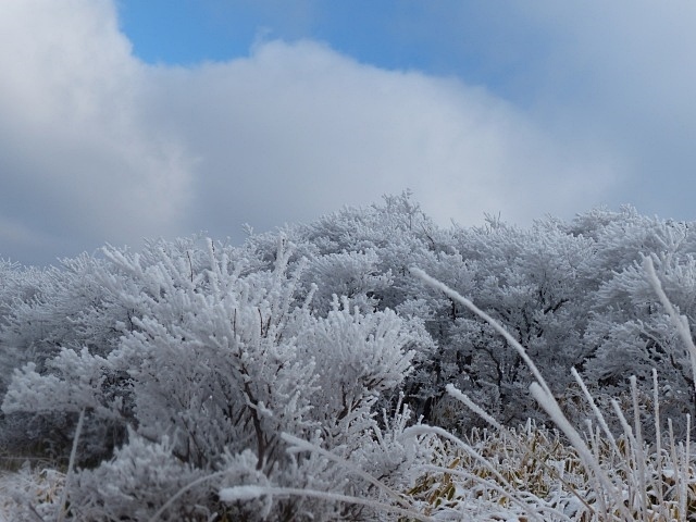 f0357487_21341978.jpg