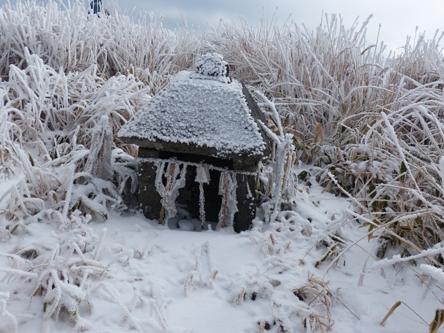 f0357487_21344397.jpg
