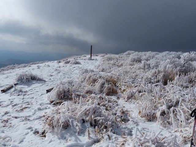f0357487_21385186.jpg
