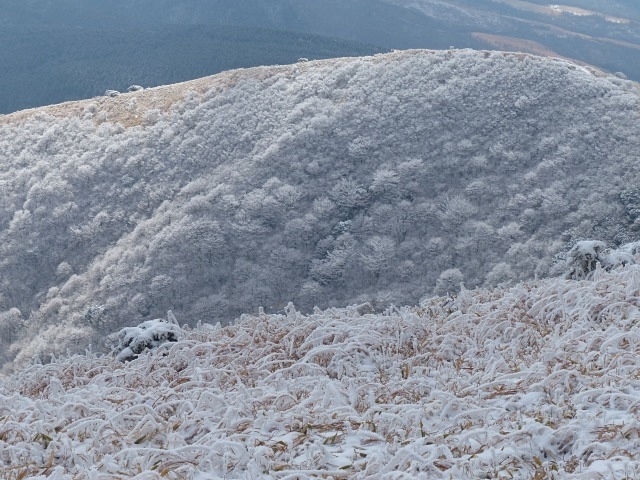 f0357487_21391187.jpg