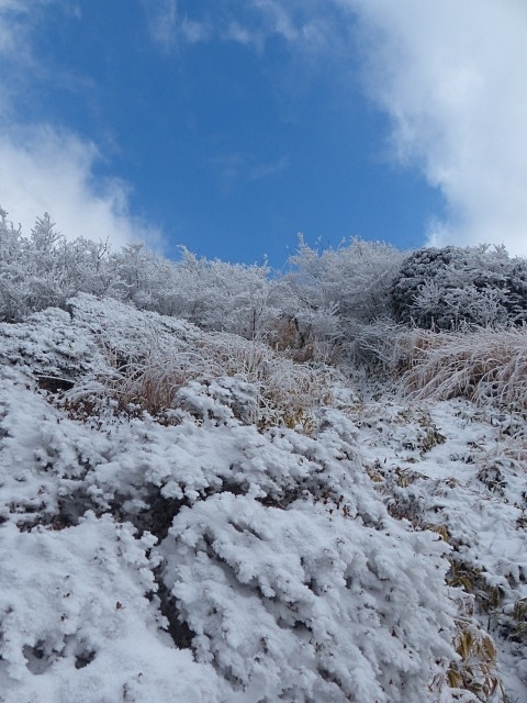 f0357487_21402783.jpg