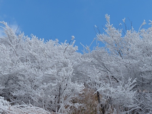 f0357487_21405266.jpg