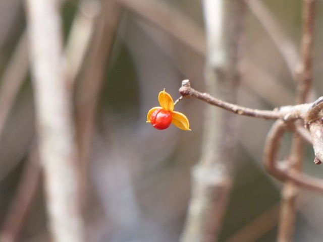 f0357487_21412057.jpg