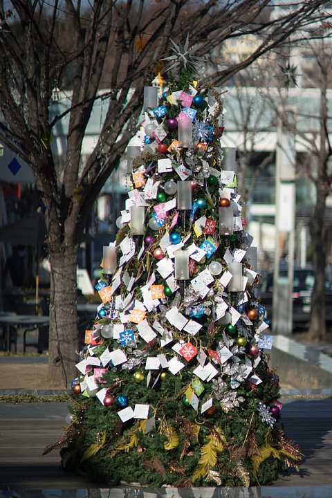 とってもクリスマスな星の丘_d0353489_2242286.jpg