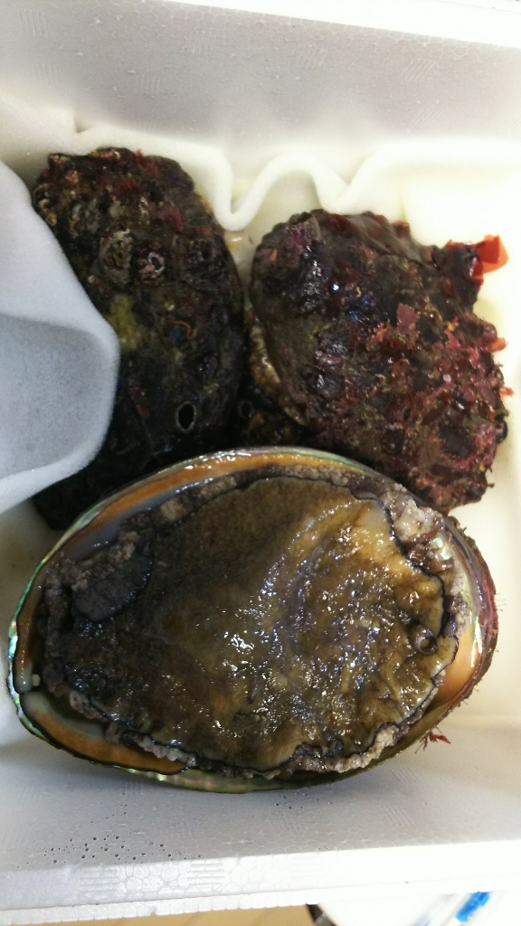 c0109891_19243978.jpg