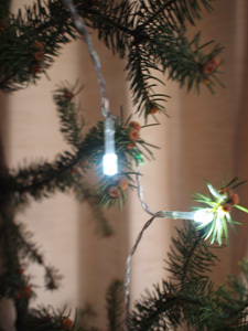 c0386291_17130900.jpg