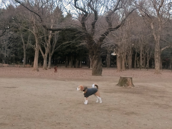 a0319693_72012100.jpg