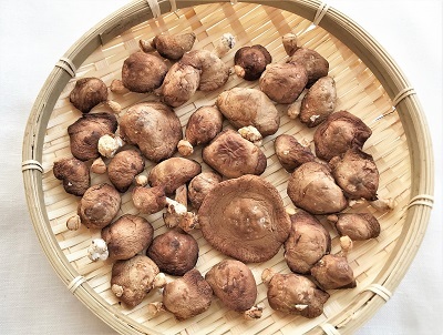 飾りつけで残ったオーナメントの使い方♪ と 椎茸!_d0249193_20353964.jpg