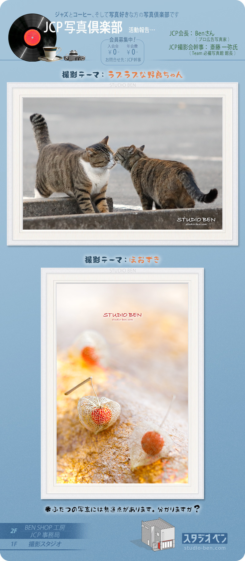 ネコ と ほおずきの共通点? 分かるかなぁ..._c0210599_21211241.jpg