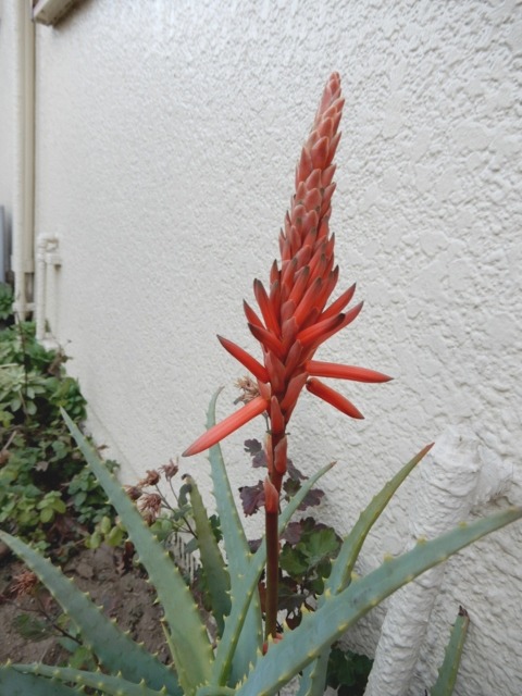 e0025300_204433.jpg