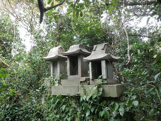 17-12：野母の里山（弁天山＆祇園山）　　　_f0187402_20245468.jpg