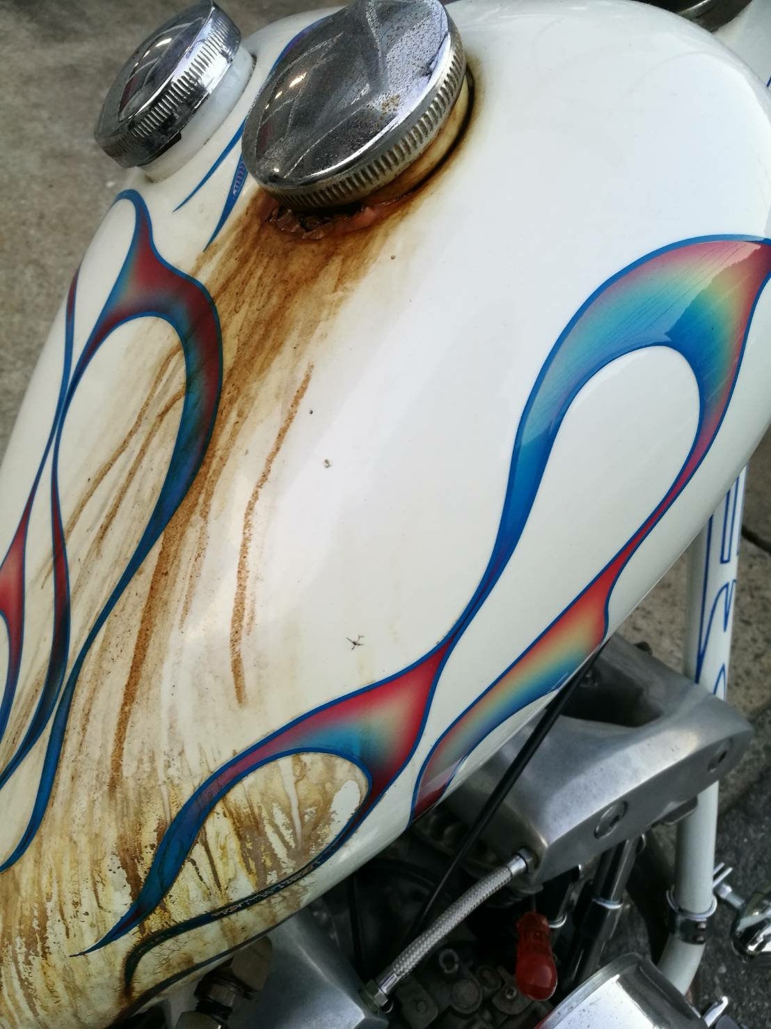 納車_a0159215_23591769.jpg