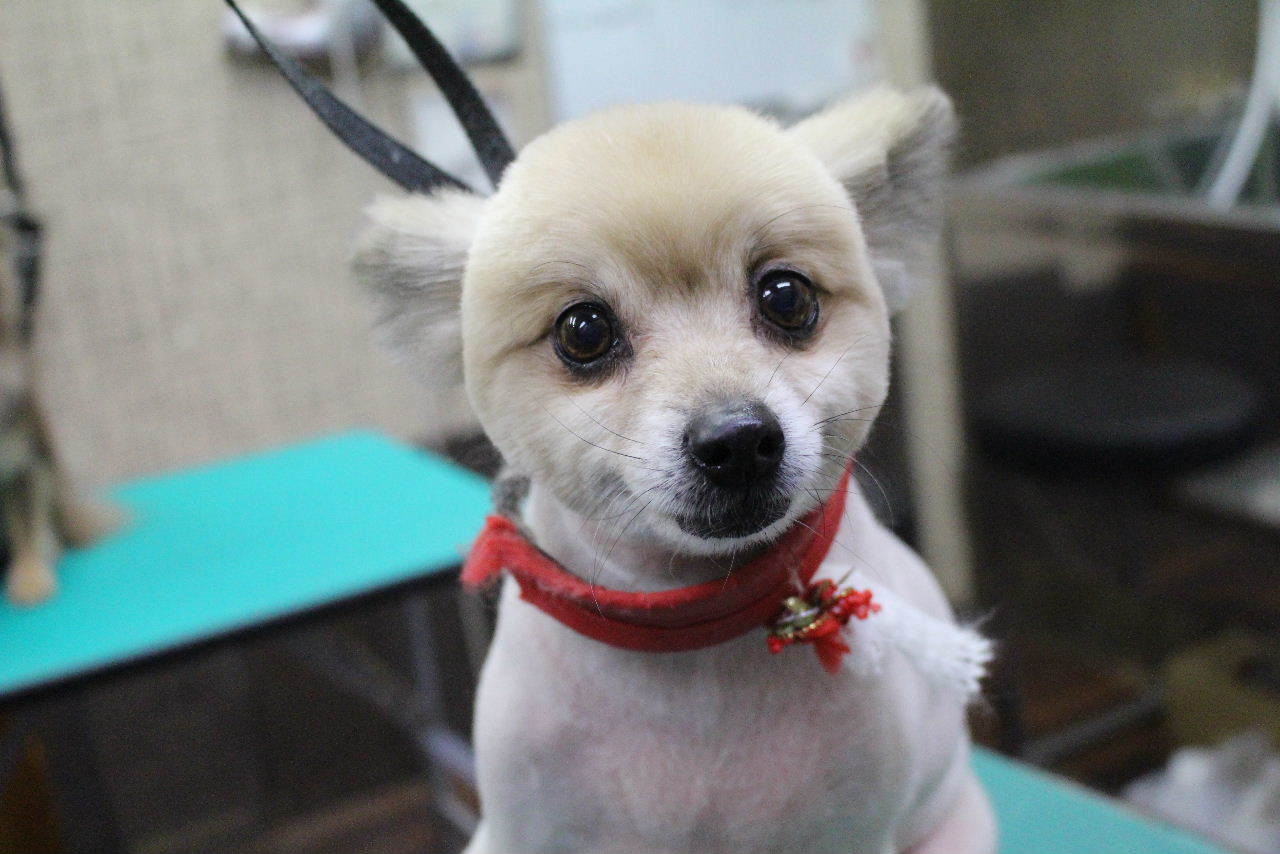 12月20日ご来店のお客様です！！_b0130018_08415629.jpg